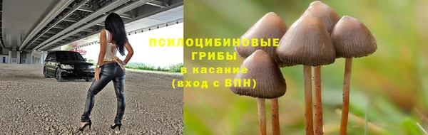 тгк Богородицк