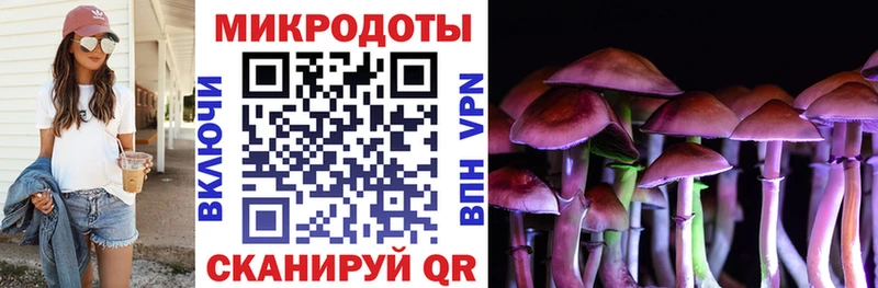 где продают Острогожск Псилоцибиновые грибы Cubensis